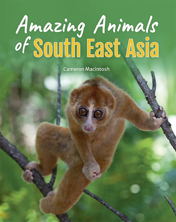 Animals of South East Asia
