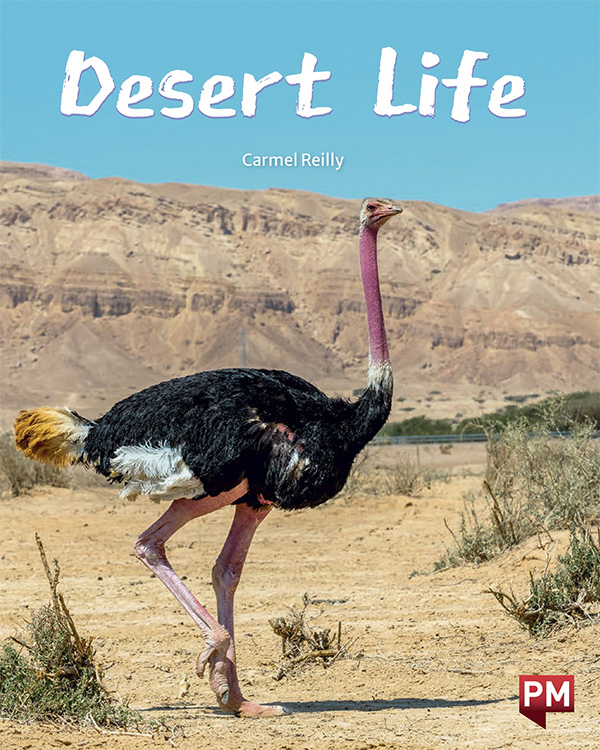 Desert Life