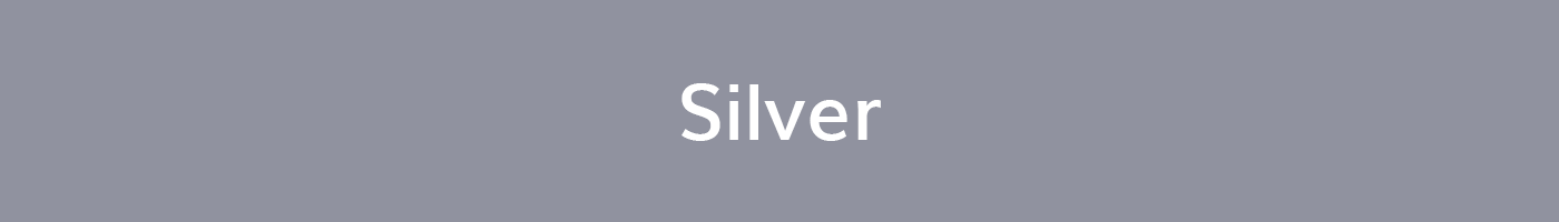 PM Silver