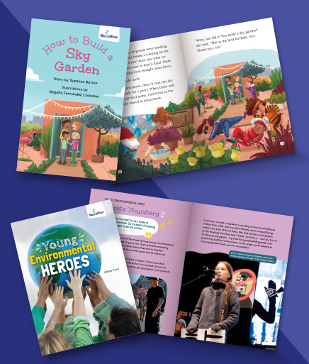 Novastar at a glance